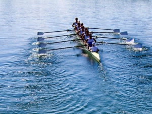 Ruth Hald - rowing image